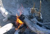 Poissons_grillés_au_feu_de_bois...